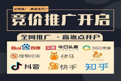 成功运用SEM服务实现品牌推广的案例分析