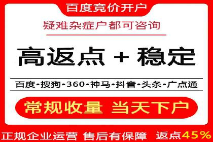 SEM推广策略：成功案例解析